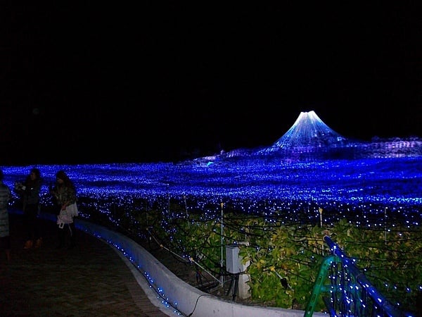 圧巻！壮大！芸術作品。富士山と海原